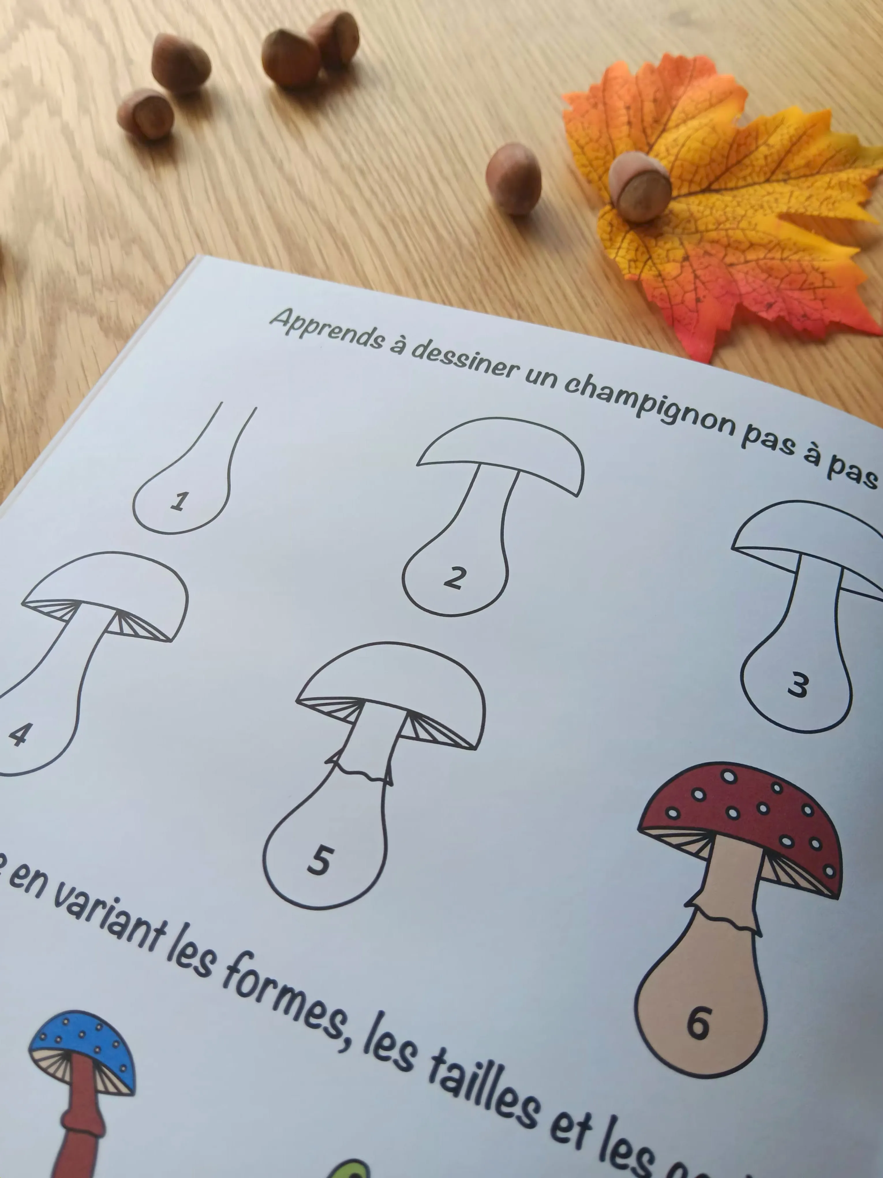 Dessin pas à pas d’un champignon extrait de Papa Sanglier et sa dent en or